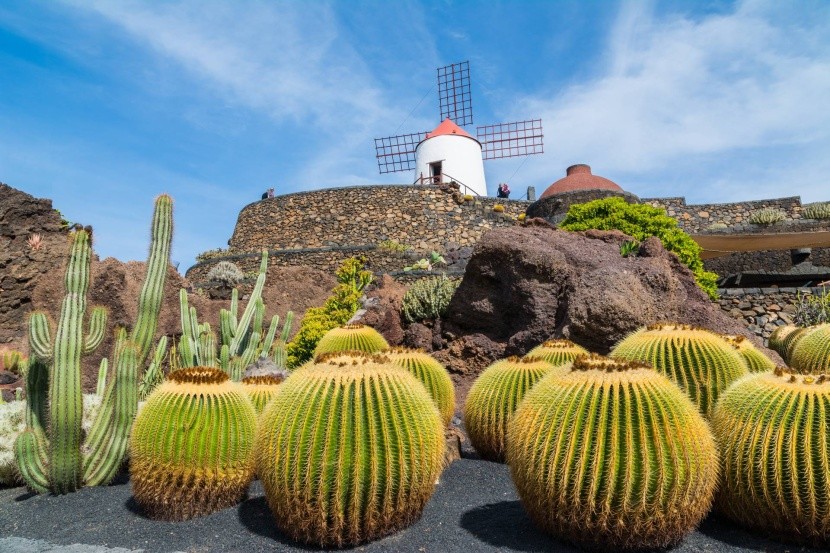 Kaktuszpark Lanzarote szigetén
