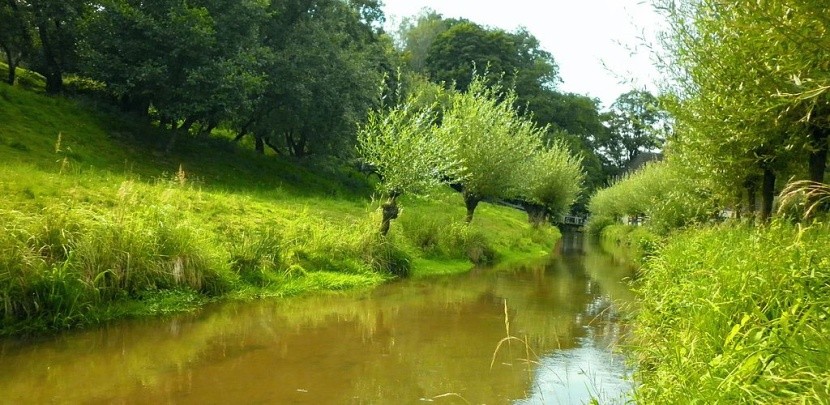 Babiččino údolí - řeka Úpa