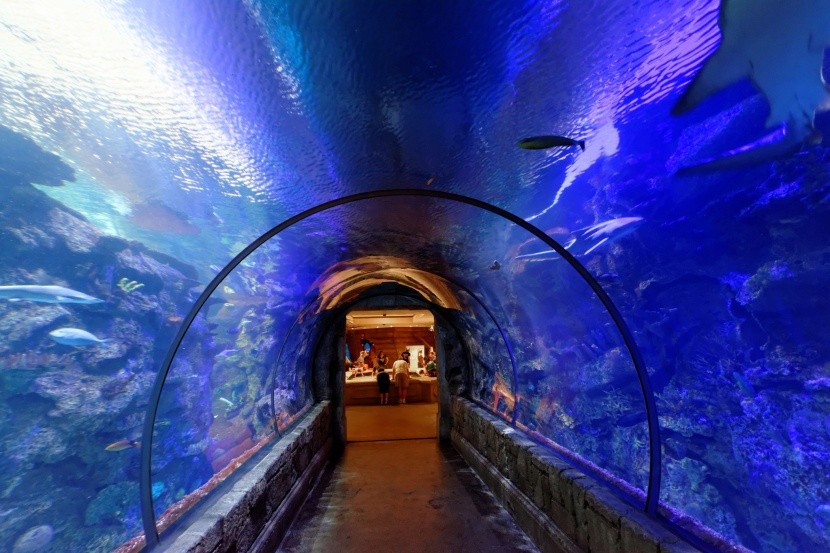 Akvárium Shark Reef