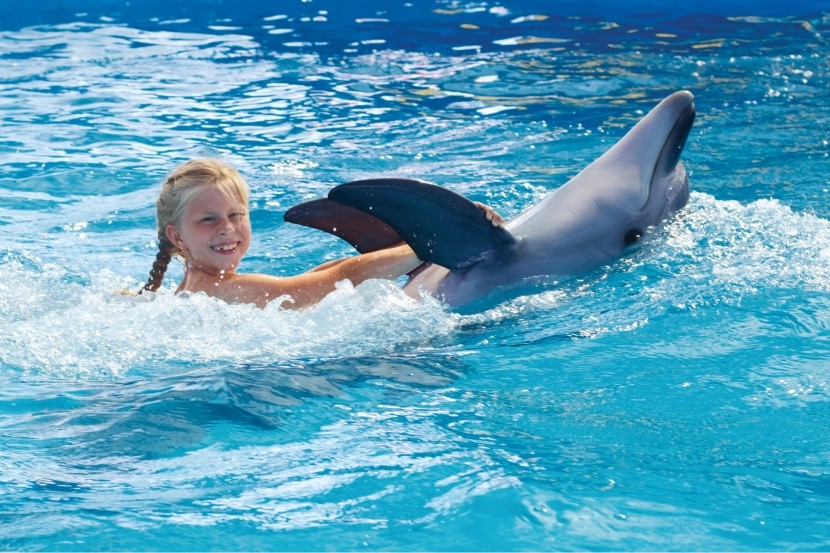 Úszás delfinekkel