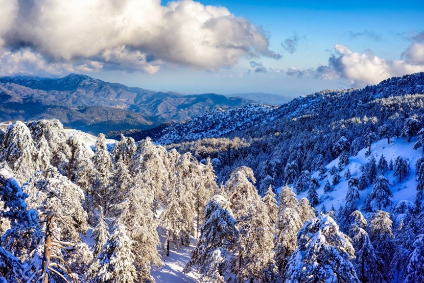 Pohoří Troodos v zimě