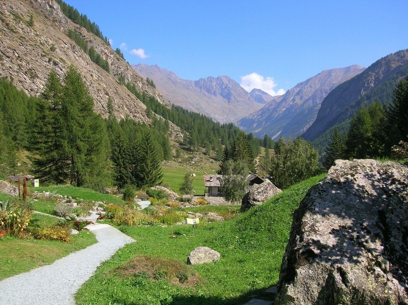 Giardino Alpino Paradisia