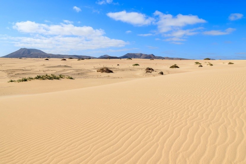 Pláž a duny Corralejo, Fuerteventura