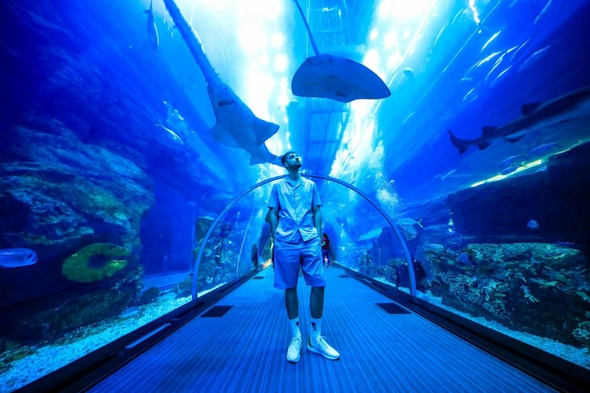 Dubajské akvárium