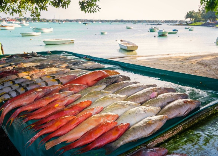Rybí trh na pláži v Grand Baie
