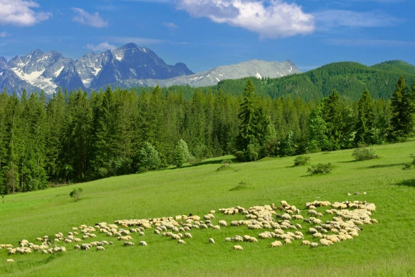 Slovensko, Tatry