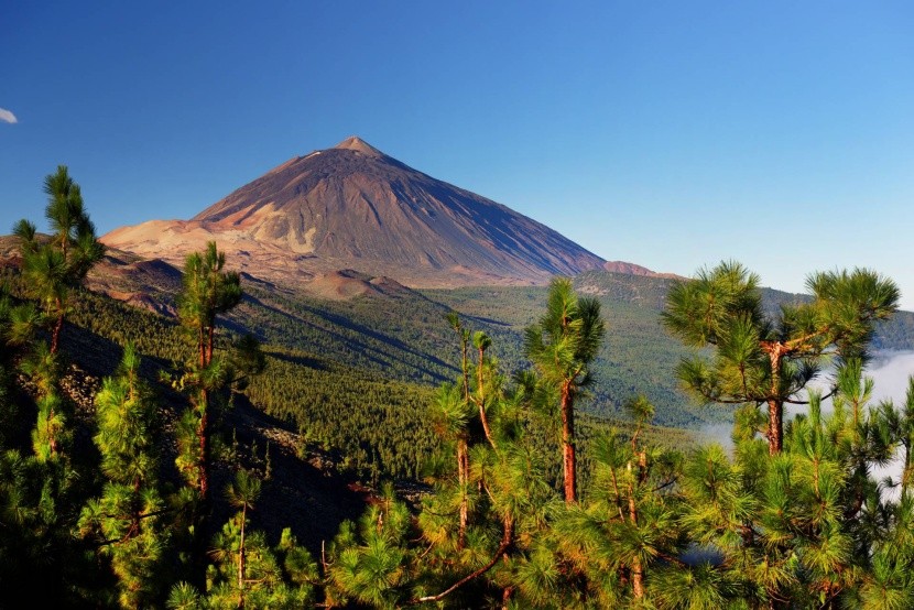 A Teide Nemzeti Park, Tenerife