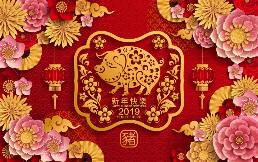 2019 - čínský rok prasátka