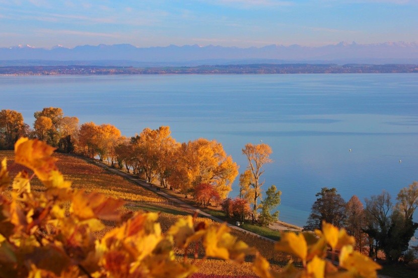 Neuchâtelské jezero