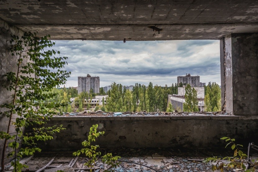 V Černobyle sa príroda vracia späť