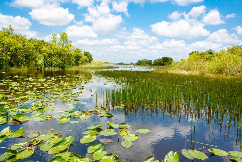 Národní park Everglades na Floridě