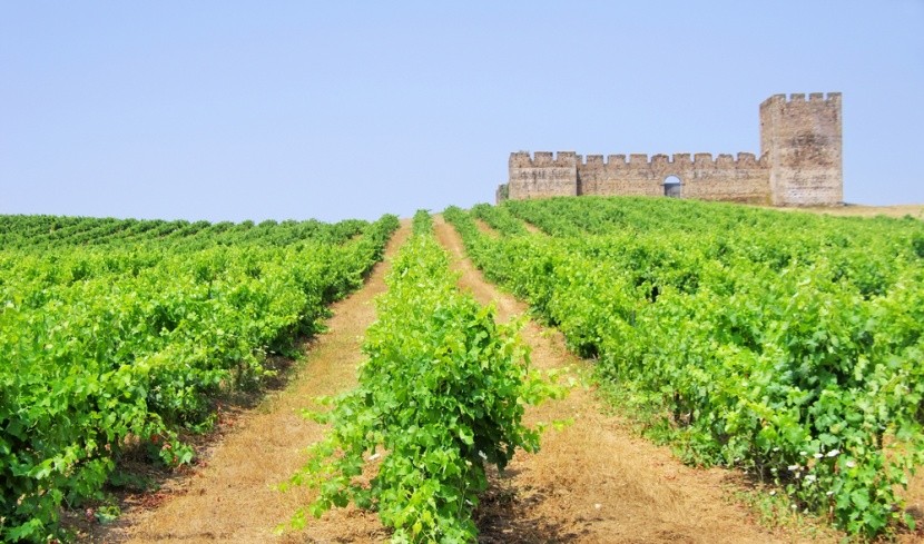 Najlahodnejšie portugalské vína pochádzajú z 