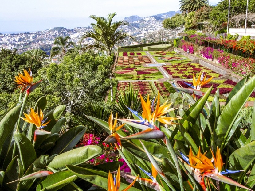 Madeira je rajská záhrada v Atlantiku
