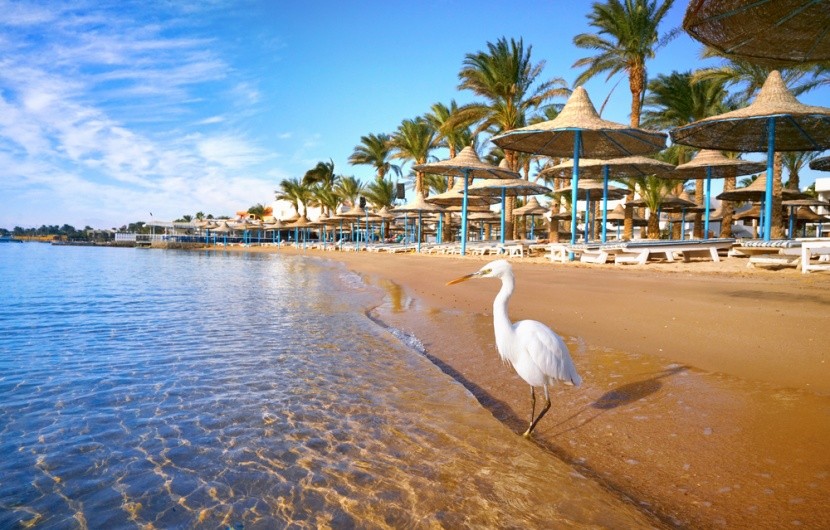 Hurghada mesés strandjai