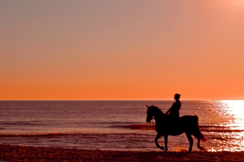 Jazda na koni na pláži