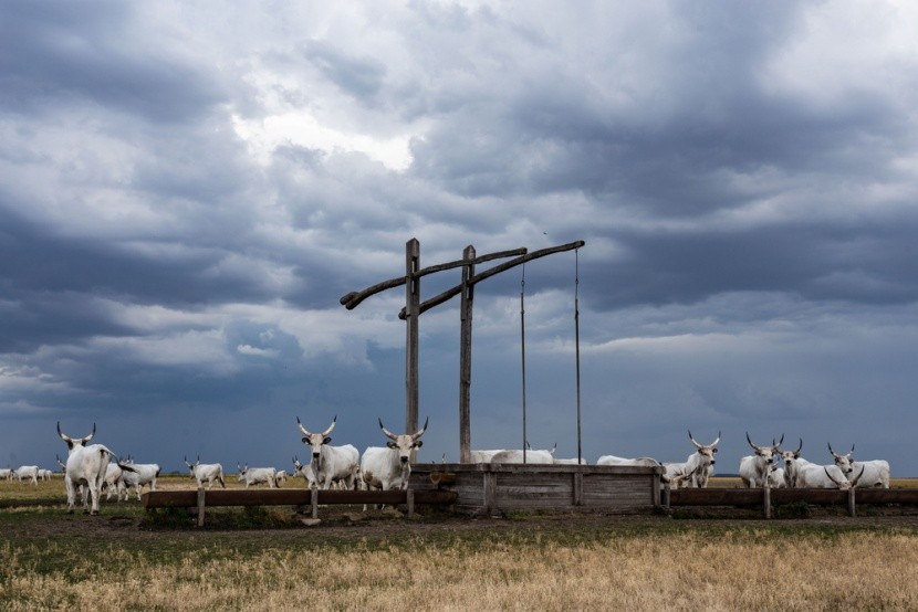 Hortobágyi Nemzeti Park