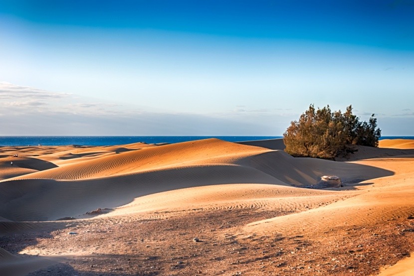 Písečné duny v Maspalomas