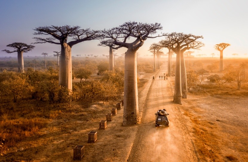 Madagaskar vás ohromí nejen baobaby