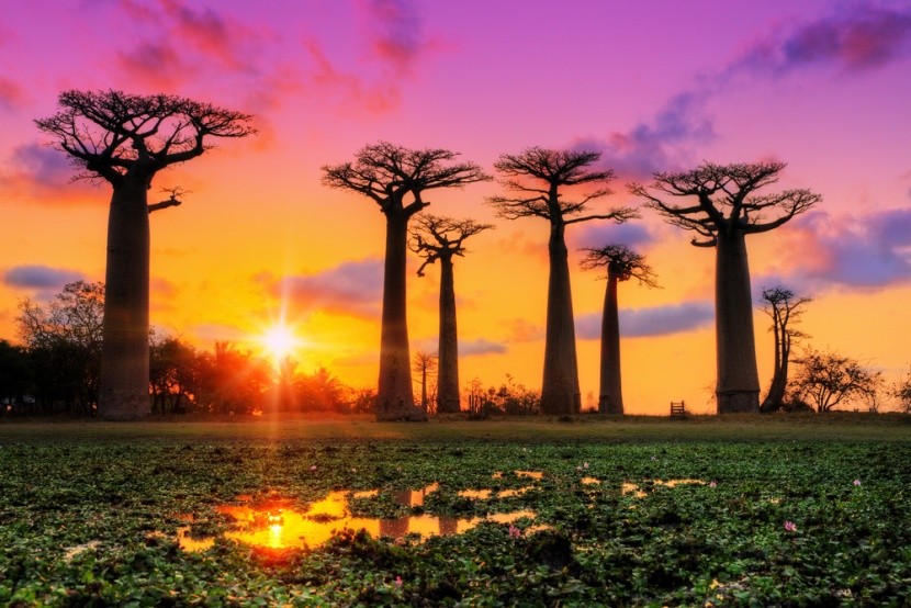 Magický západ slunce na Madagaskaru