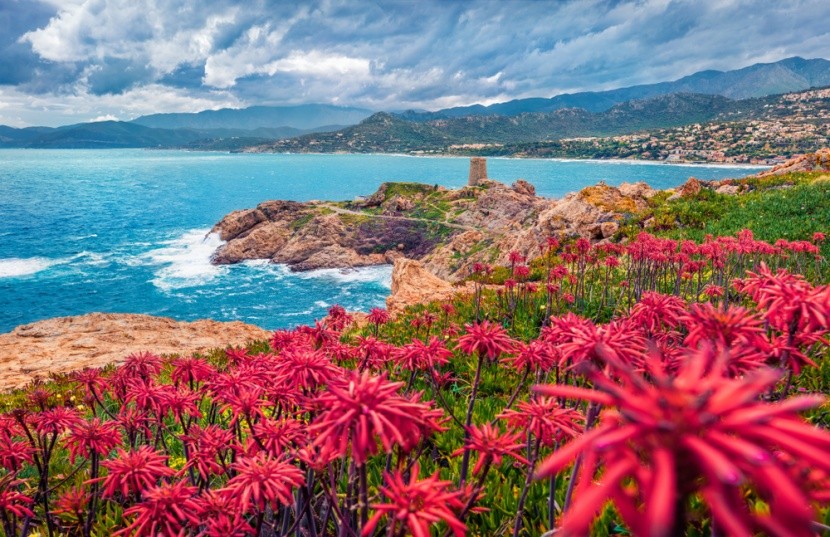 Korsika, Francie