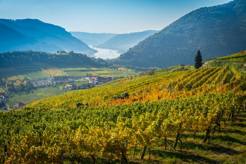 Wachau, Rakousko