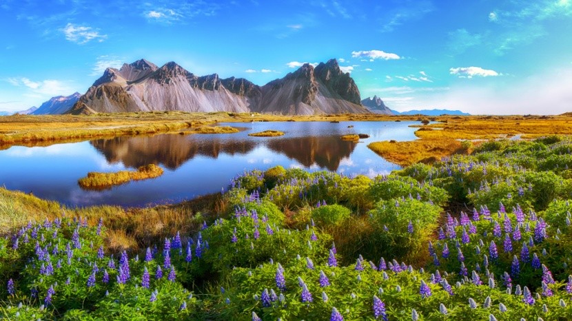 Dokonalá krajina Islandu