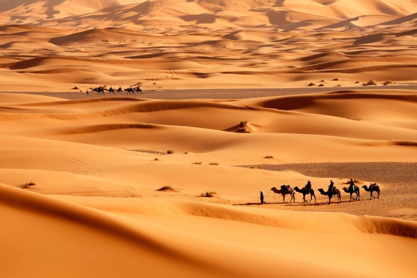 Sahara, Egypt