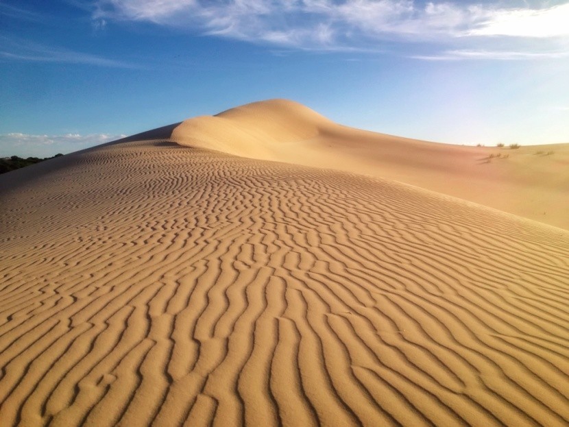 Písečné duny, Ostrov klokanů