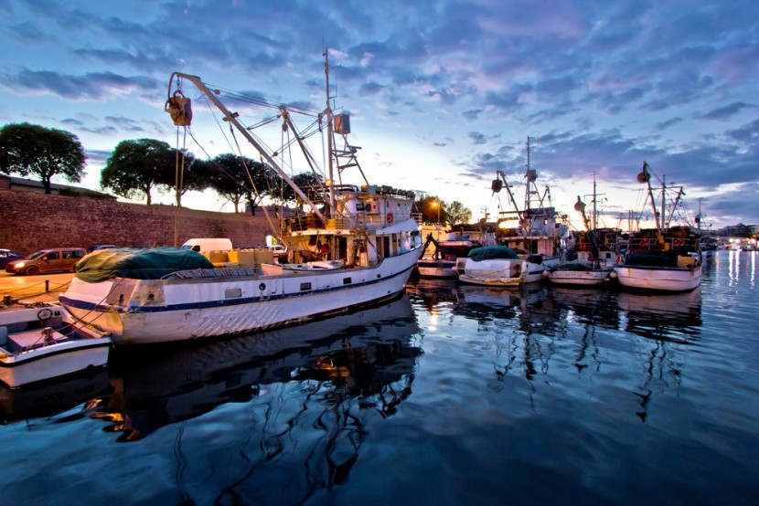 Rybářské lodě v Zadaru