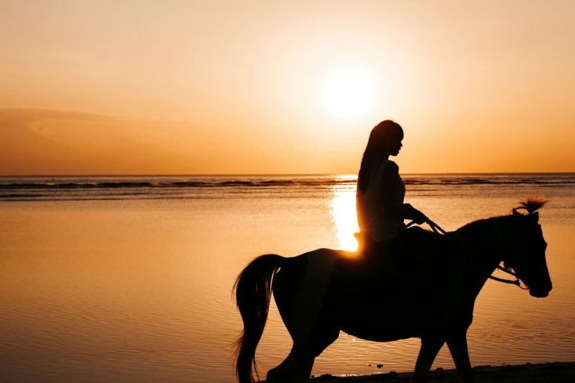 Jazda konna po plaży w Egipcie