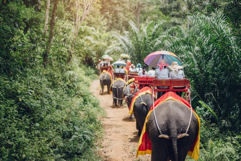 Výlet na slonech, Thajsko