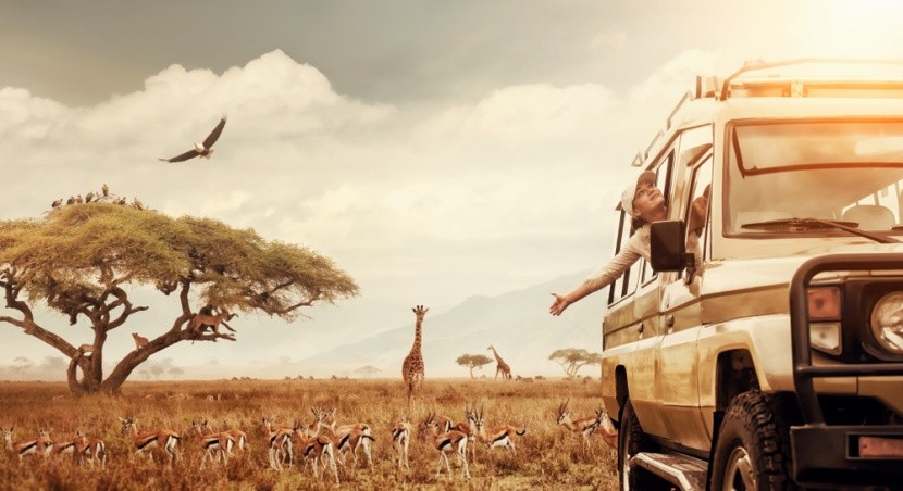 Safari v Keni