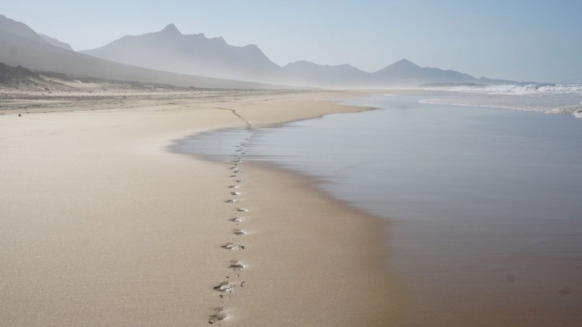 Playa de Cofete - Fuerteventura