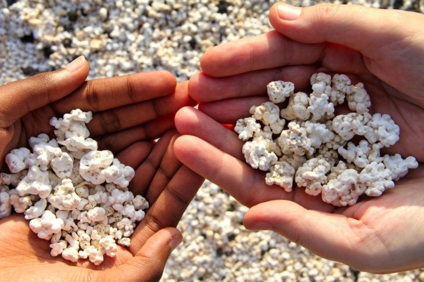 Popcorn Beach - Fuerteventura