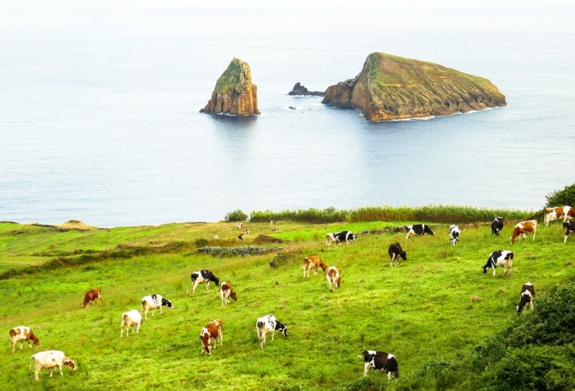 Graciosa, Azorské ostrovy