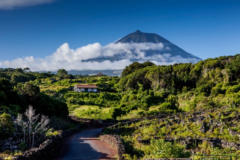 Pico, Azorské ostrovy