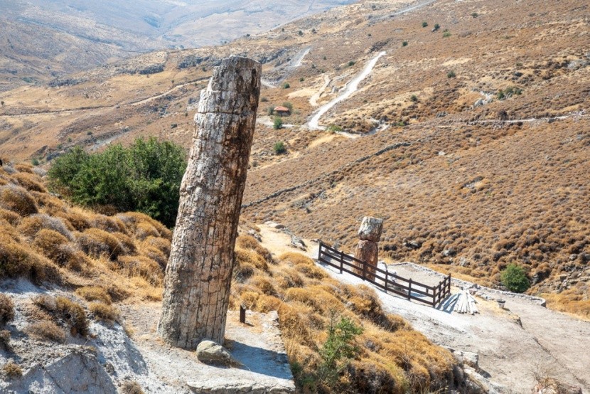 Zkamenělý les (UNESCO), Lesbos