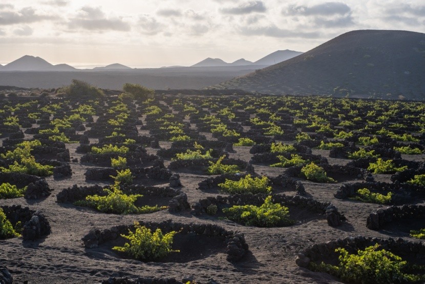 La Geria, Lanzarote