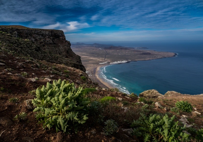 El Bosquecillo, Lanzarote