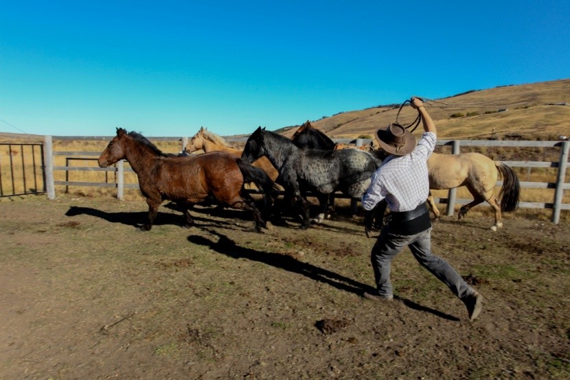 Gaucho a koně, Patagonie