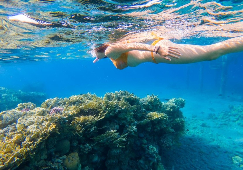 Snorkeling na płytkiej wodzie