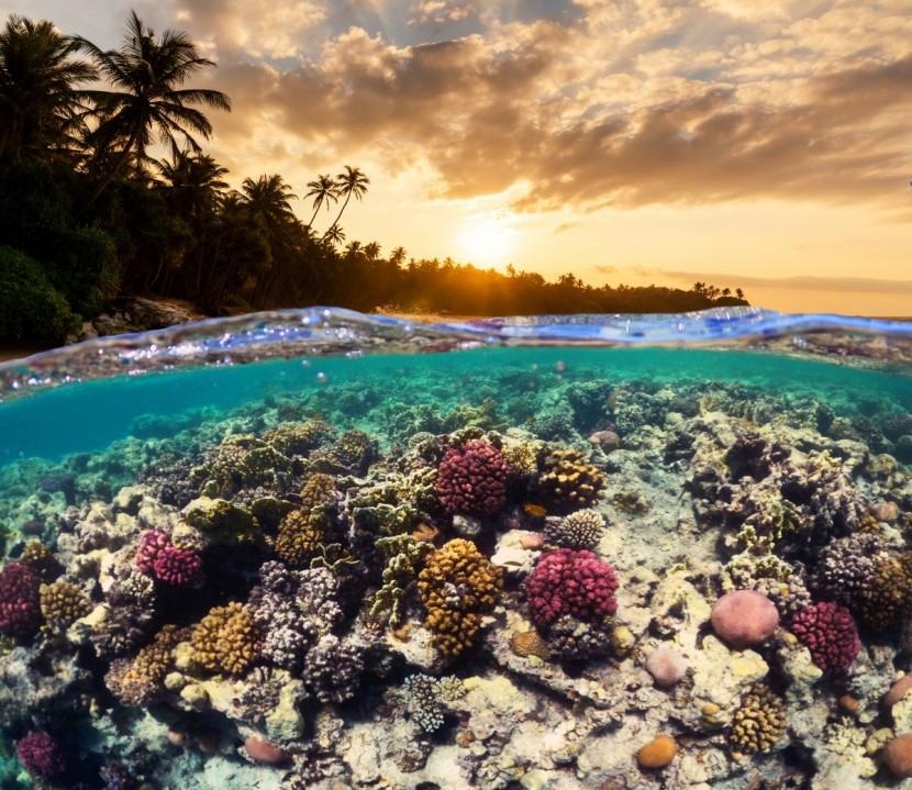 Snorkeling na świecie