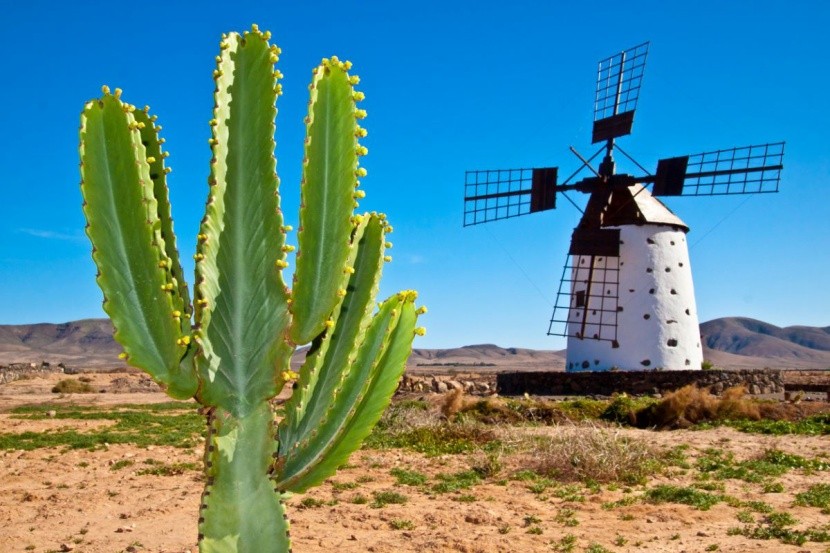 Lanzarote czy Fuerteventura - gdzie na wakacj