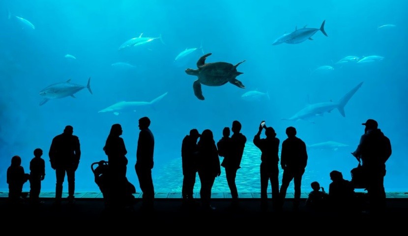 Oceanarium w Portugalii