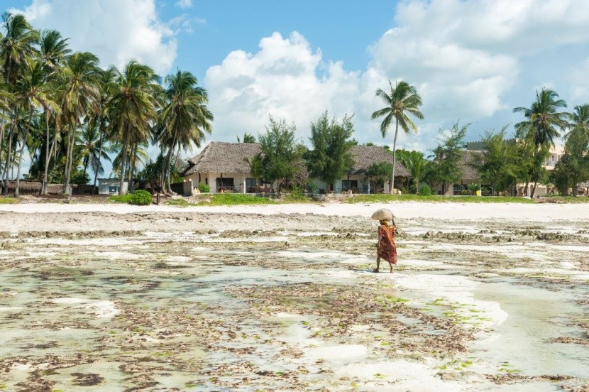 Zanzibar