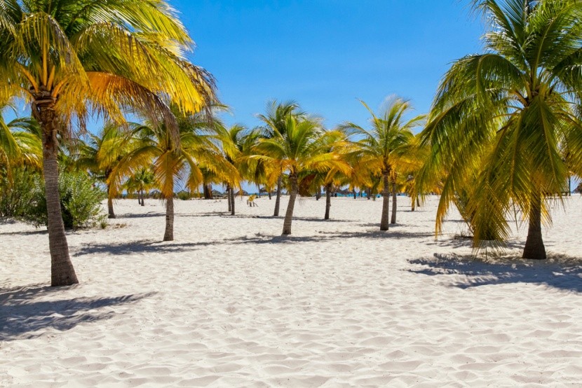 Playa Paraiso: idilli tengerpart