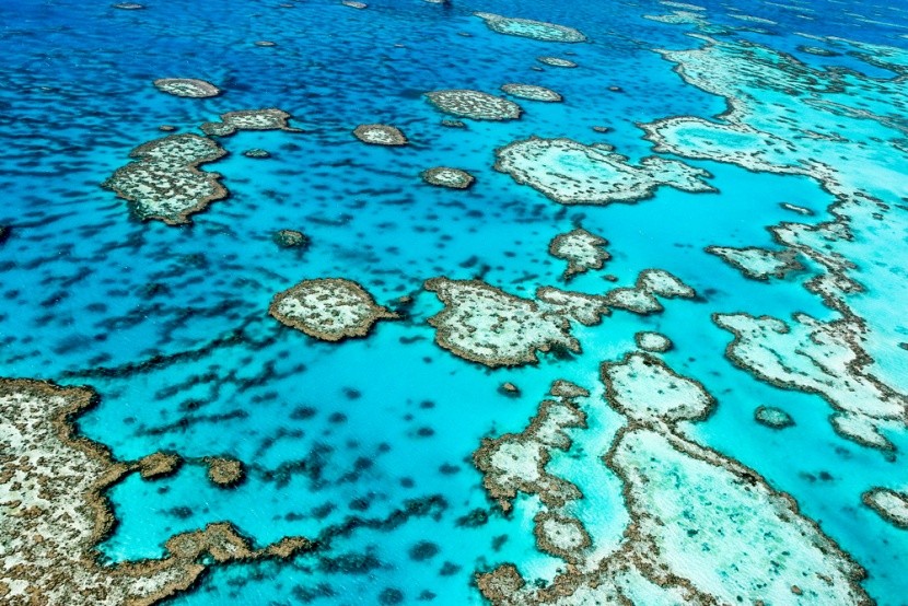 A Nagy-korallzátony Queensland partjainál