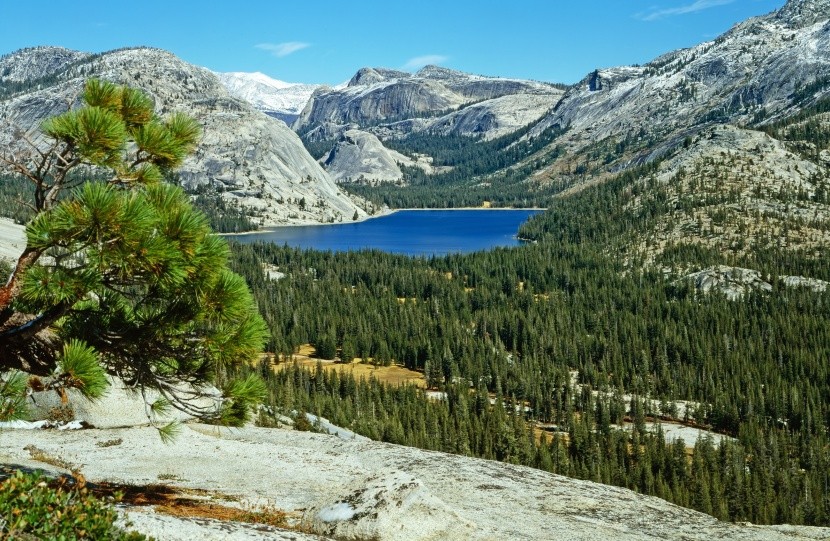 Sekély tó a Yosemite Nemzeti Parkban