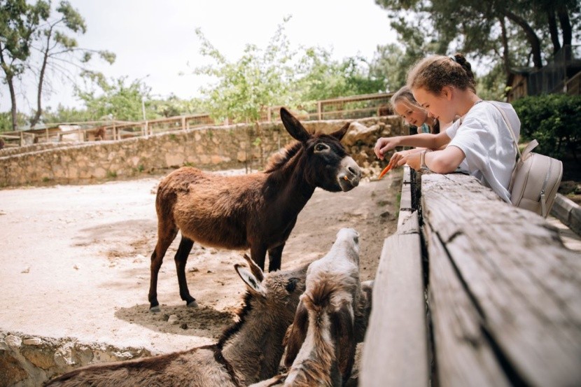 ZOO w Pafos