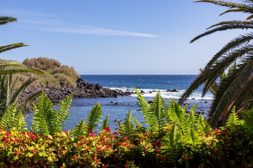 Charco del Conde - plaże La Gomera